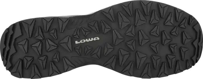 Кроссовки Lowa Ferrox GTX LO 45 black-anthracite фото