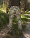 Брюки карго тактические Softshell BEZET Байрактор мультикам фото 5