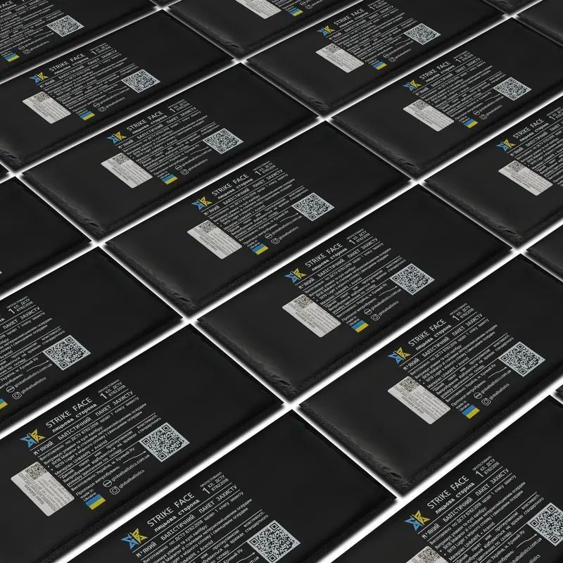 Балістичний захист в камербанд, 2 шт., 1 або 2 класу, 300х150 мм MOLLI фото