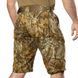 Охотничьи мужские шорты Twill Дотик сонця Camotec фото 3
