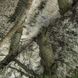 Демисезонный костюм военный StormWall PRO. Sequoia Camotec фото 13