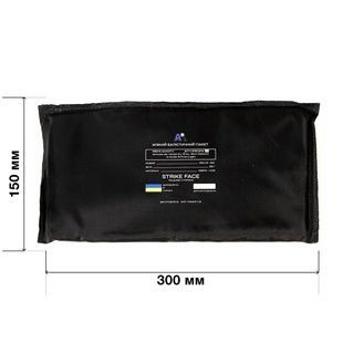 Комплект баллистической защиты 1 или 2 класса 300х150 мм MOLLI фото