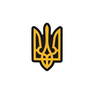 Шеврон Герб фігурний (Чорний) фото