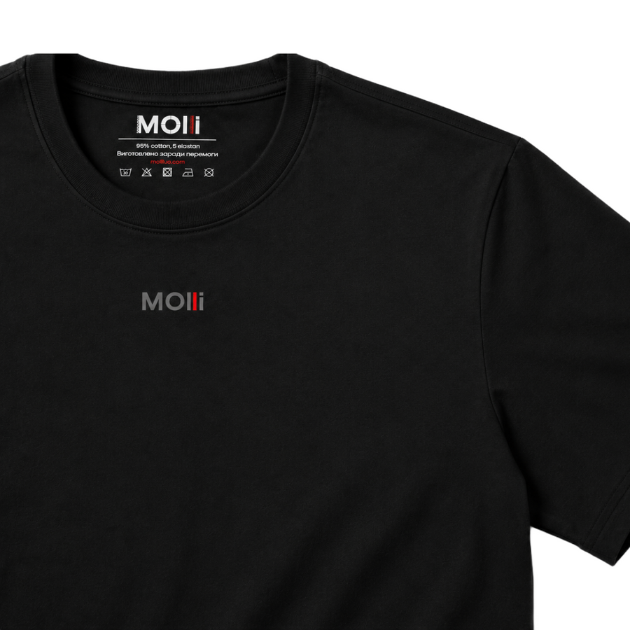 Мужская футболка черная MOLLI фото