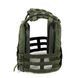 Плитоноска Січ зі швидким скиданням олива (PLATE CARRIER) MOLLI фото 3