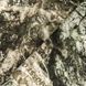 Зимовий костюм військовий StormWall DWR. Terra Ua Camotec фото 12