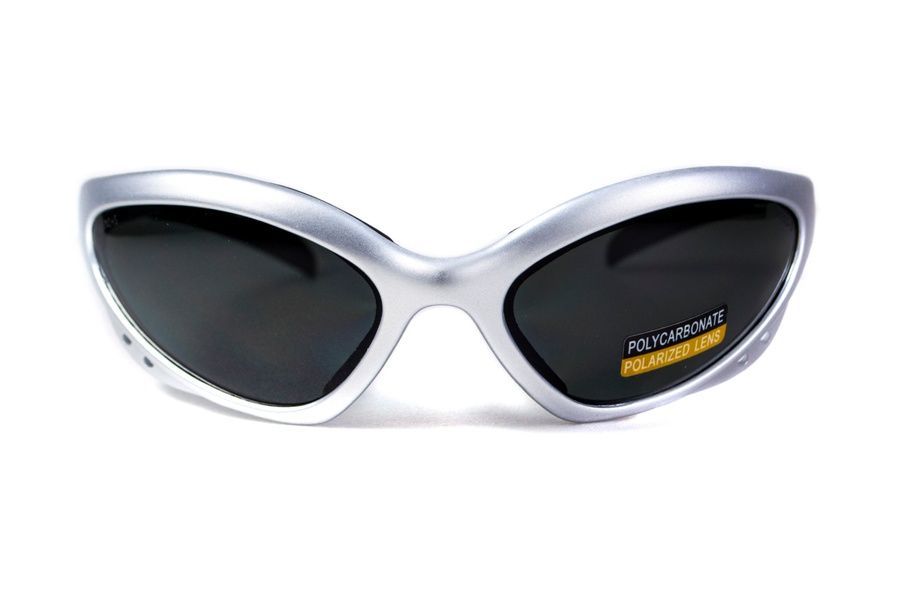 Защитные очки Black Rhino Rhinolidz Polarized (gray), серые фото