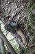Куртка Carinthia G-Loft ISG 2.0 Jacket S Multicam Black фото 20
