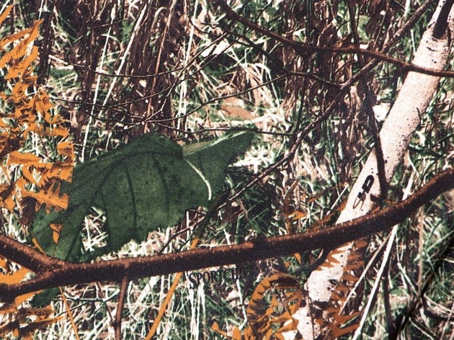 Брюки SportChief SC/DK M Camo фото