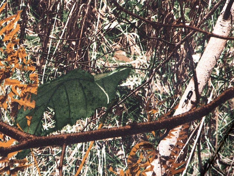 Брюки SportChief SC/DK M Camo фото
