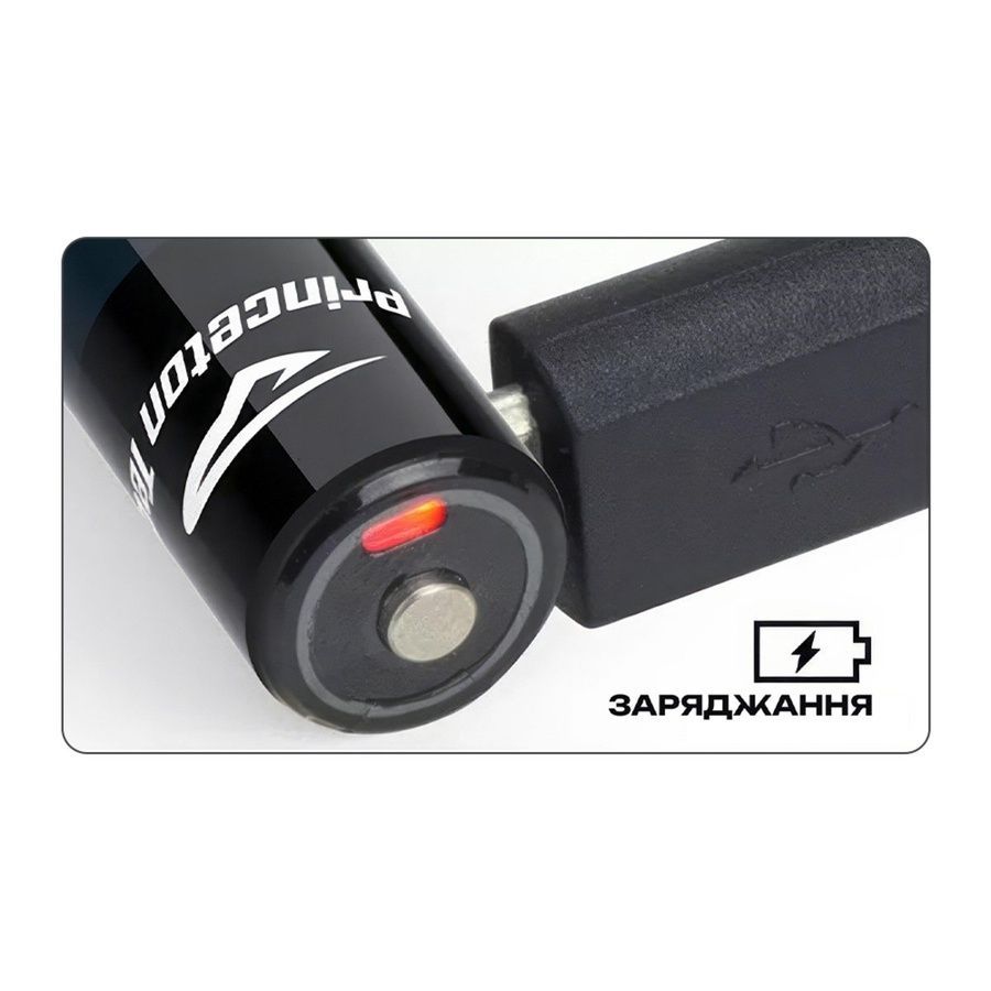 Фонарь Princeton Tec Alloy-X Rechargeable Black 400lm фото